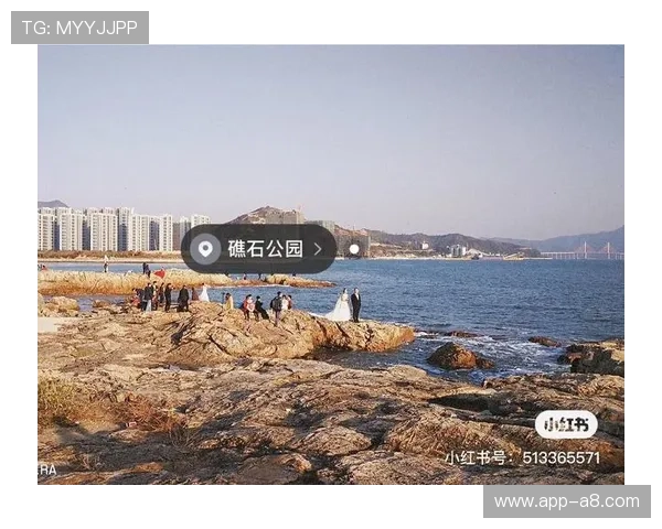 游艇会平台会员制度优化方案:提升用户体验与会员粘性的有效方法